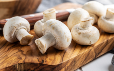 9 Powerful Reasons to Eat Mushrooms